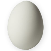 egg